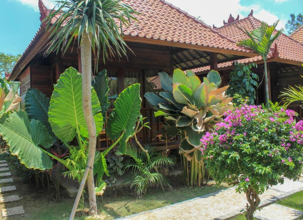 Pattri Dihati Lembongan Room photo